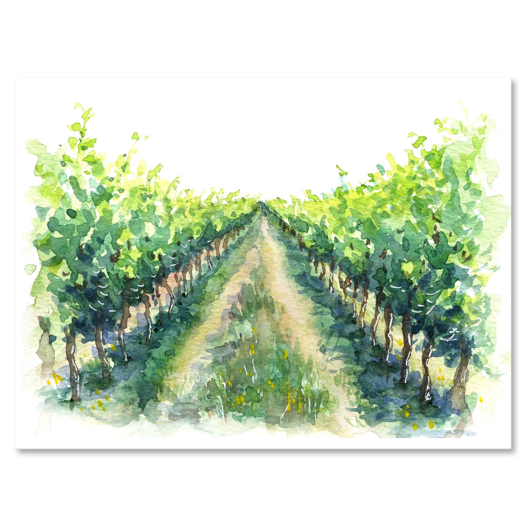 Designart - Rural Scene Vineyard Road